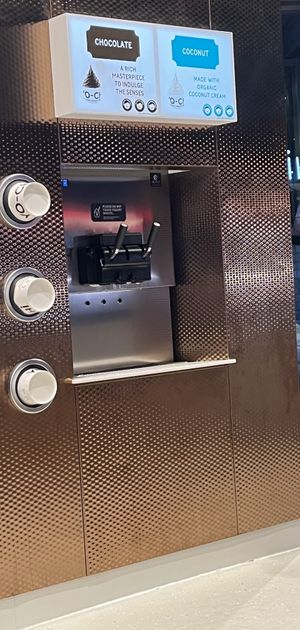 Vegan base options   at Yo-Chi  in Upper Mount Gravatt