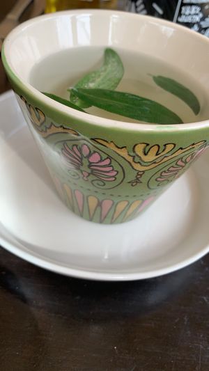 Infusión de salvia  at La Fraternal in Santiago