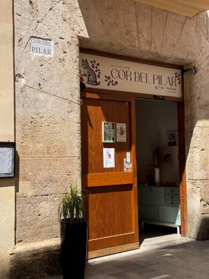 Entrance at Cor del Pilar in Valencia