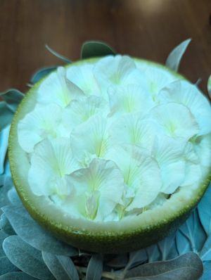 Coconut sorbet at Restaurante Celele in Cartagena