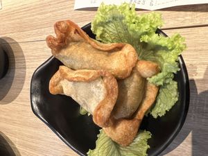 Fried veg gyoza $2.90 meh  at Greendot 绿一点 - Bedok Mall in East Singapore