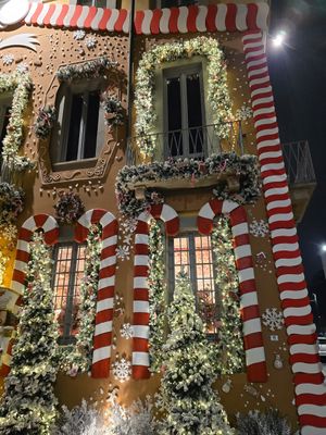 Outside view at La Jungle de Plein in Milan