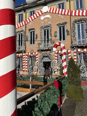 Le jungle de plain on december 2024  at La Jungle de Plein in Milan