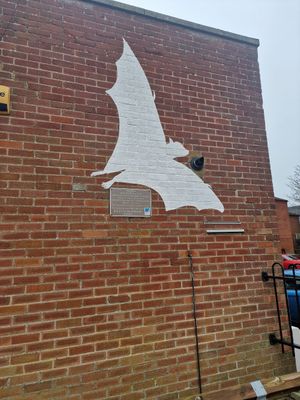 The bat! at Darkroom Chocolate in North Walsham