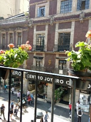 view from restaurant window at Los Vegetarianos in Mexico City