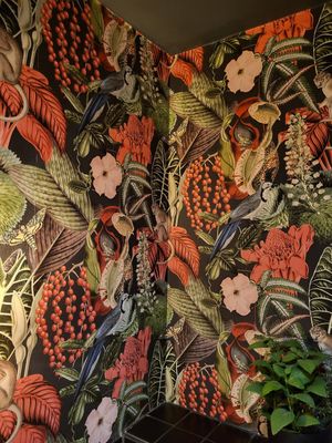  at Green Gold Café in Langballig