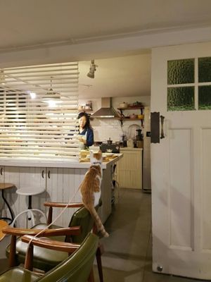 Cat and Kitchen at Cook and Book 쿡앤북 in Seoul
