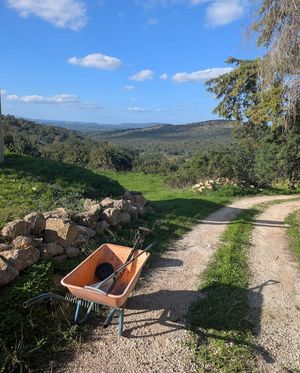  at L.O.V.E. Farmstay in Boliqueime