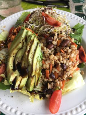 Bowl at Naked Sprout Juice Bar Cafe in Whistler