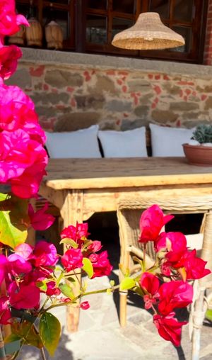  at La Melea - Vegan Bed & Breakfast in Lucignano