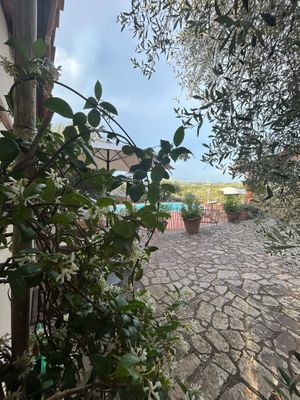 at La Melea - Vegan Bed & Breakfast in Lucignano