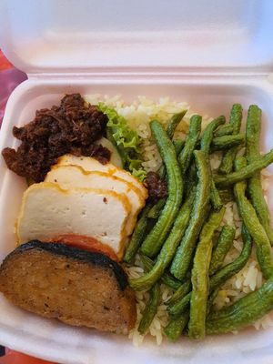 Nasi Lemak packet ~ 9/7/21 at Zhenyi Veggie Place 真一素食坊 in Northeast Singapore