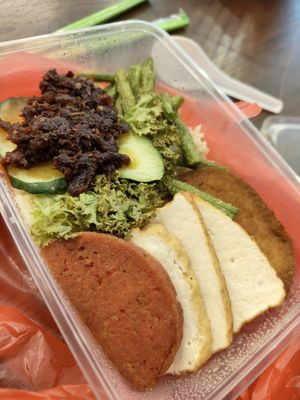 Nasi Lemak ~ 6/8/24 at Zhenyi Veggie Place 真一素食坊 in Northeast Singapore