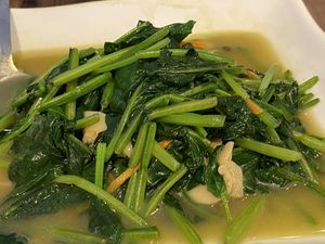 Po Cai ; Chinese Spinach  at Zhenyi Veggie Place 真一素食坊 in Northeast Singapore