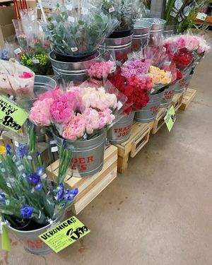   at Trader Joe's in Fort Worth