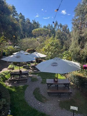 outdoor seating at DiPisa in Boyaca