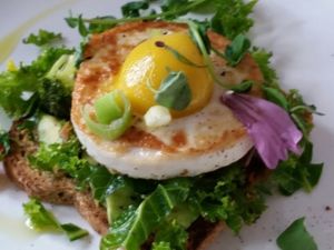 avocado toast with vegan egg at Doug McNish Public Kitchen in Toronto