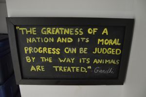 Gandhi quote. at Doug McNish Public Kitchen in Toronto