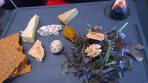 Faux-mages at 42 Degrés in Paris