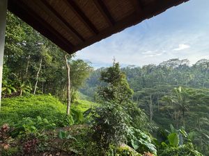  at The Jungle Nook - Harmony Hill in Tampaksiring