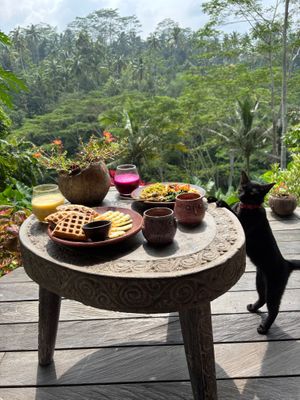 Our furry friends will love to meet you 😁 at The Jungle Nook - Harmony Hill in Tampaksiring