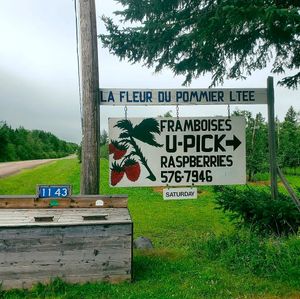 Seasonal Upick  at La Fleur Du Pommier Ltee in Cocagne