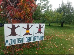 Upick  at La Fleur Du Pommier Ltee in Cocagne