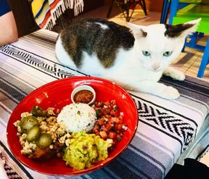 😻🌹🪷🌹😻  at Tito's Bitchin' Burritos & Sourdough Pizzas in Koh Samui