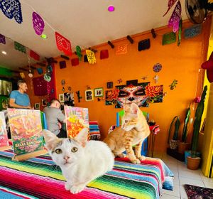  at Tito's Bitchin' Burritos & Sourdough Pizzas in Koh Samui