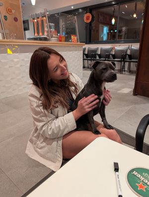  at Belle Burrito in Benidorm