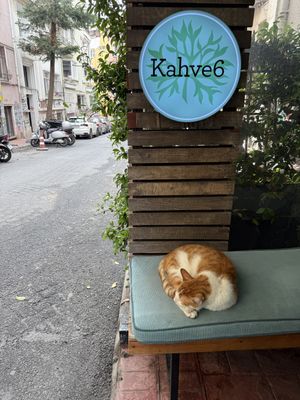   at Kahve 6 in Istanbul