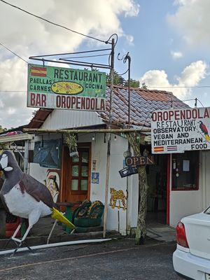Outside at Bar Restaurante Paellas La Oropendola in Nuevo Arenal