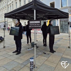  at AcVi Regensburg in Regensburg