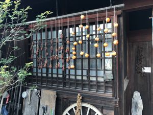 Persimmons drying  at Hinonchi in Hino
