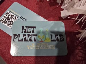 At Veganworld, Kerstmarkt, Hasselt at Het PlantLab in Genk