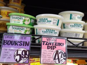 Cream cheese and tzatziki dip at Trader Joe's in Naples