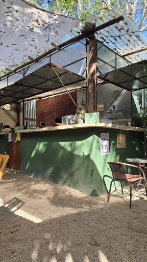 Cute open air space at Casa de Café y Té in Bacalar