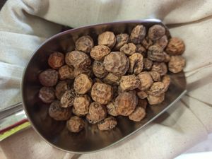  at Menjunje! in Barcelona