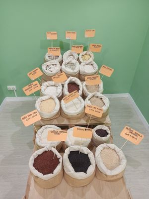  at Menjunje! in Barcelona