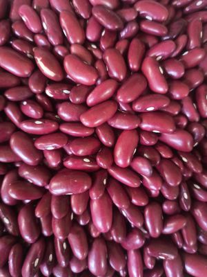  at Menjunje! in Barcelona