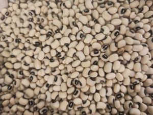  at Menjunje! in Barcelona