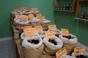  at Menjunje! in Barcelona