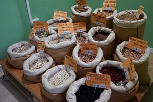  at Menjunje! in Barcelona