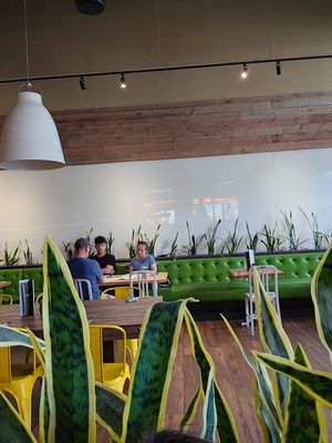 Relaxing atmosphere at True Food Kitchen - Fashion Valley Mall in San Diego