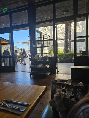 Easy access at True Food Kitchen - Fashion Valley Mall in San Diego