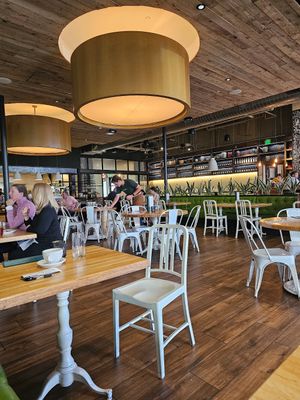 Lots of seating at True Food Kitchen - Fashion Valley Mall in San Diego