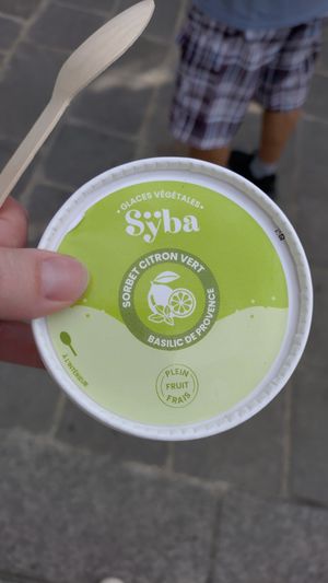 Ice cream - lime and basil at Land & Monkeys - Les Halles in Paris