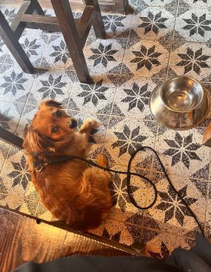   at Hoi An in Nierstein