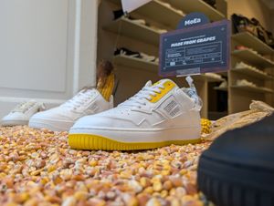 Store Türkenstraße 63  at Shoesforsociety  in Munich