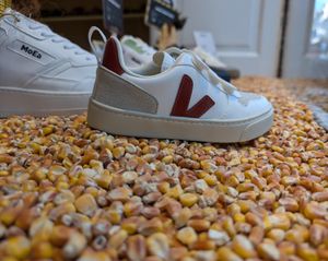 Store Türkenstraße 63  at Shoesforsociety  in Munich